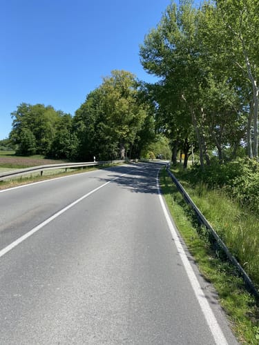 Diesdorf Rundweg