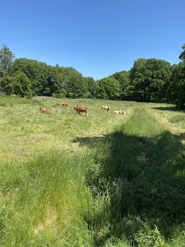 Diesdorf Rundweg