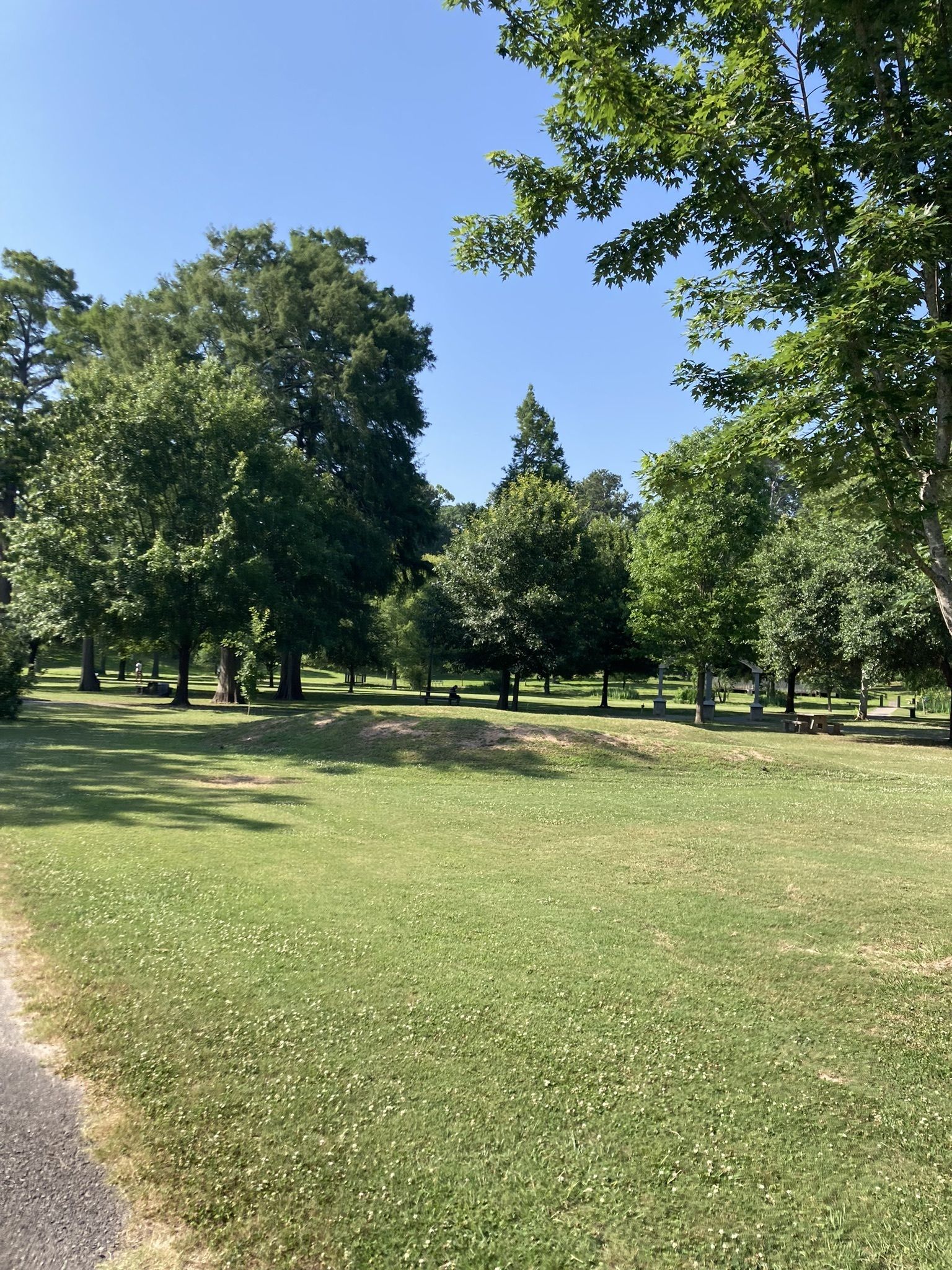 Photos of Betty Virginia Park, Louisiana trails | AllTrails