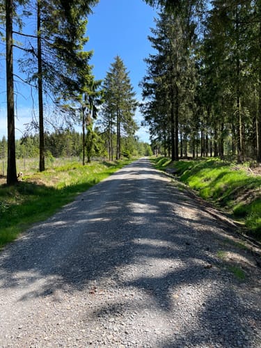 Naturparktrail Südteil-Schwalenberger Wald und Mörth