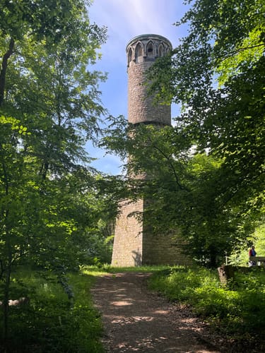 Naturparktrail Südteil-Schwalenberger Wald und Mörth
