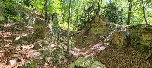 Asbach-Sickenberg P16 (Premiumwanderweg)
