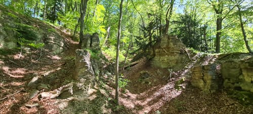 Asbach-Sickenberg P16 (Premiumwanderweg)