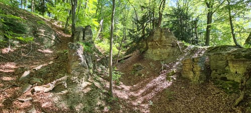 Asbach-Sickenberg P16 (Premiumwanderweg)
