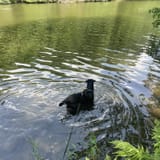 Colyer Lake Loop, Pennsylvania 633 Reviews, Map AllTrails