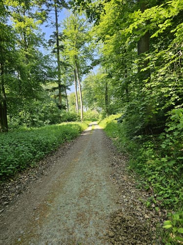 Ortsrundwanderweg Mühltal 1 (Mt1)