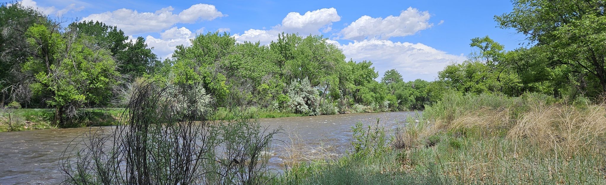 Arkansas Riverwalk Trail, Colorado - 249 Reviews, Map | AllTrails