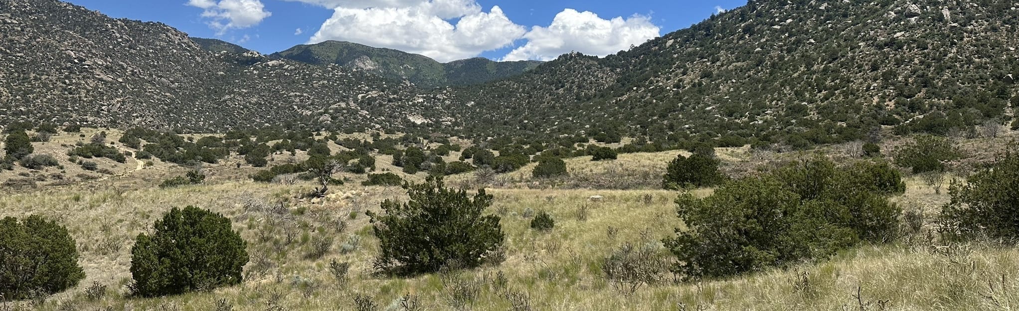 Bear Canyon Loop 283 Reviews, Map New Mexico AllTrails