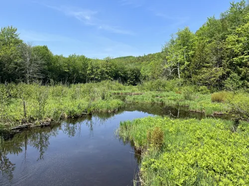 are dogs allowed at porcupine mountains state park