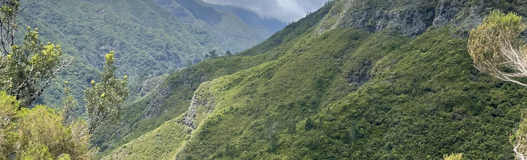 Rabaçal Levadas Route: 302 Reviews, Map - Madeira, Portugal | AllTrails