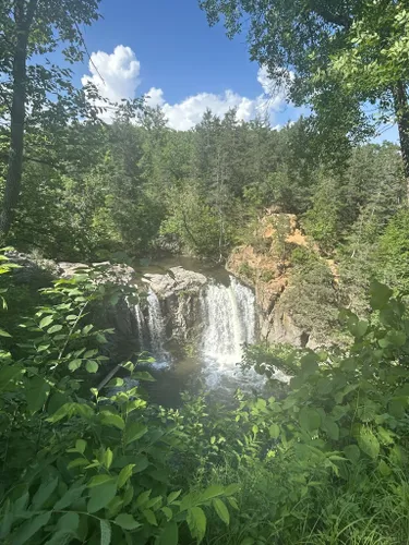 2023 Best Forest Trails in Redwood Falls | AllTrails