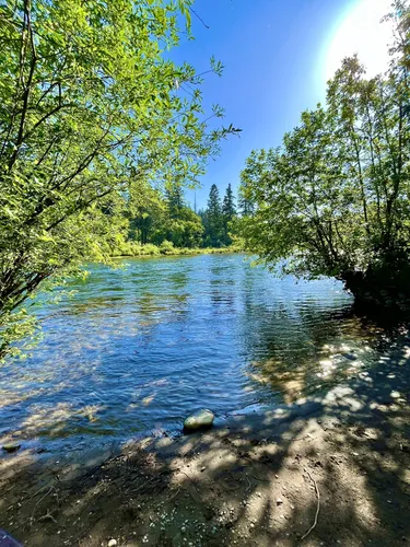Best Forest Trails in Milo McIver State Park | AllTrails