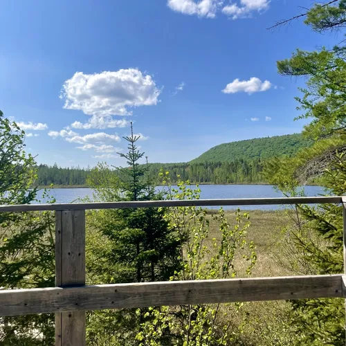 2023 Best Wildlife Trails in FossambaultsurleLac AllTrails