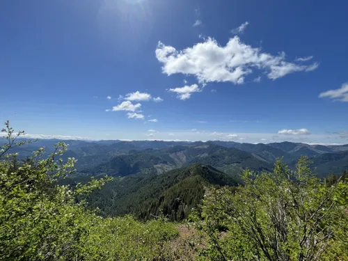 Best hikes shop tillamook state forest