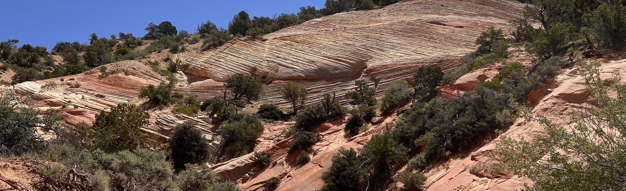 Upper Huntress Slot Canyon, Utah - 131 Reviews, Map | AllTrails