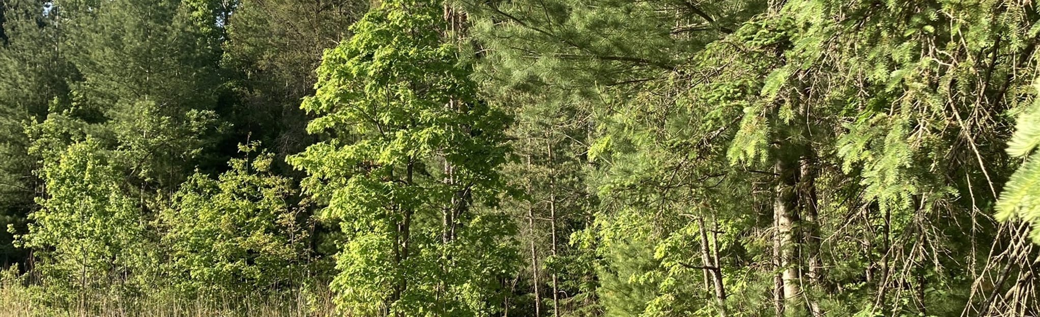 Holland Landing Trail 46 foto's Ontario, Canada AllTrails