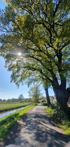 Lilienthaler Radrundweg Nr. 3 "Wörpe-Tour"