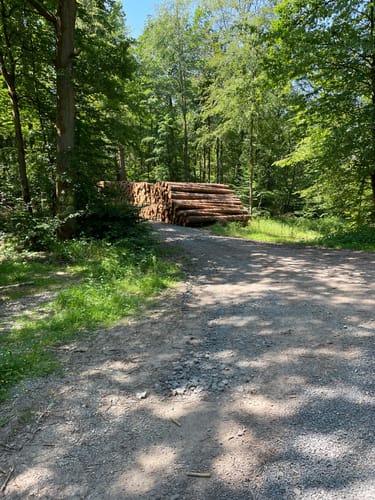 Lauter - Kleine Kufe