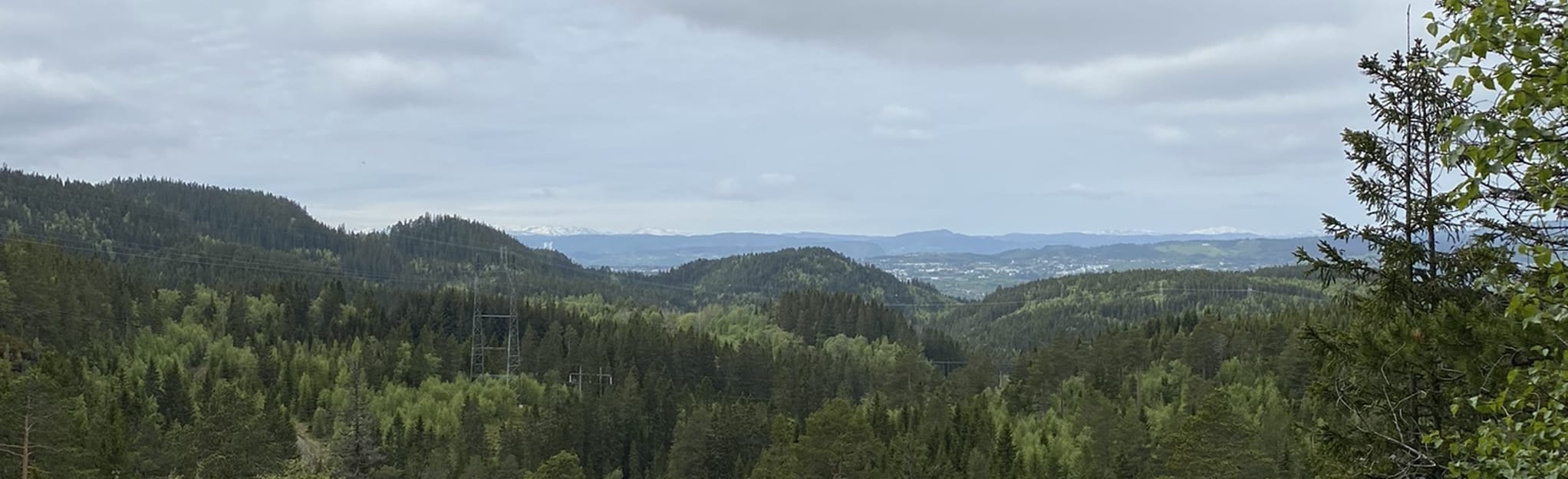 estenstadhytta-from-stokkanhaugen-5-reviews-map-tr-ndelag-norway