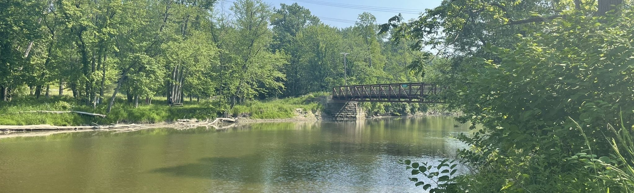 Explore Skunk Cabbage, Steelhead, Riverside Loop Trails | AllTrails