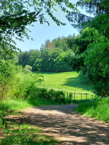 Rundwanderweg Oberraden 1
