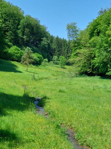 Rundwanderweg Oberraden 1