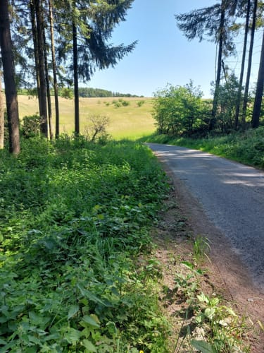 Rundwanderweg Oberraden 1