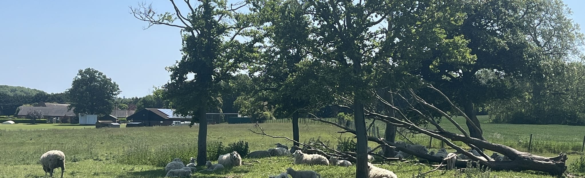 South Hatfield Welham Green Circular 14 fotos Hertfordshire