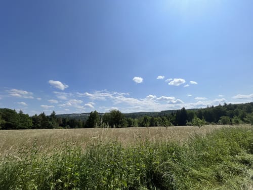 Rund um Sonnenhof und Büchenbronn