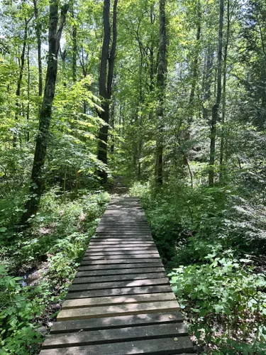 Best Hikes and Trails in Brodie Park AllTrails