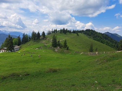 Latschenkopf (Jachenau)