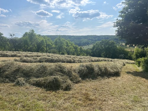 Rund um den Uhlberg
