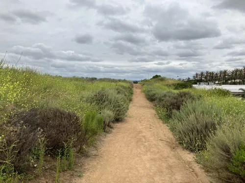 10 Best Trails and Hikes in Oceanside