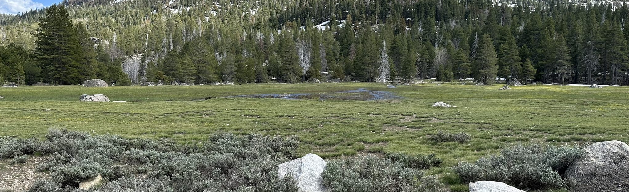 Burnside Lake Trail, California 55 Reviews, Map AllTrails