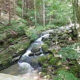 Cumberland Trail: Snow Falls Trail and Buzzard Point, Tennessee - 482 ...