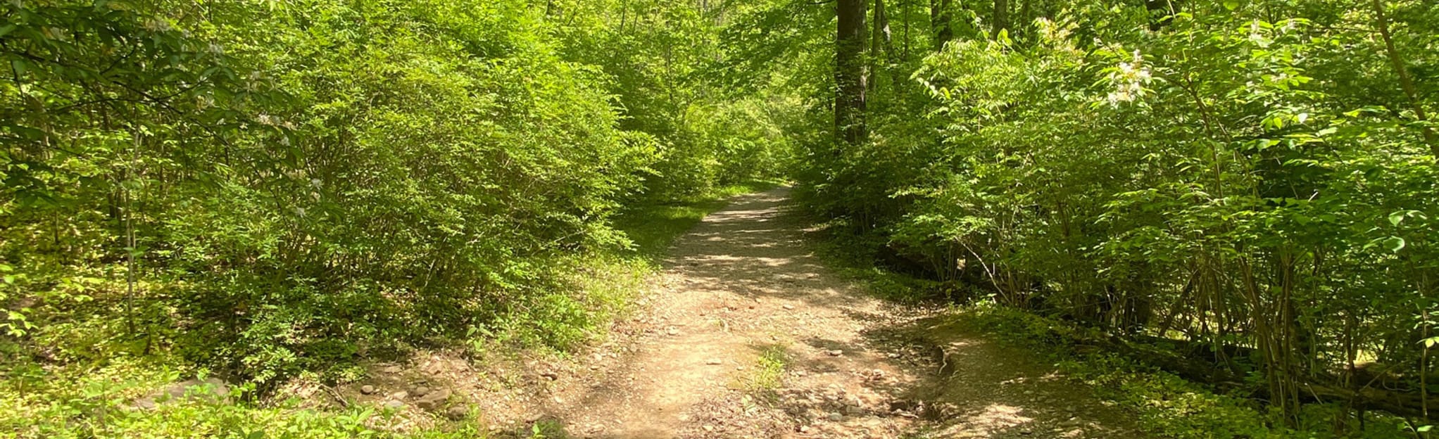 Stephan Field to Red Bird Hollow, Ohio 281 Reviews, Map AllTrails