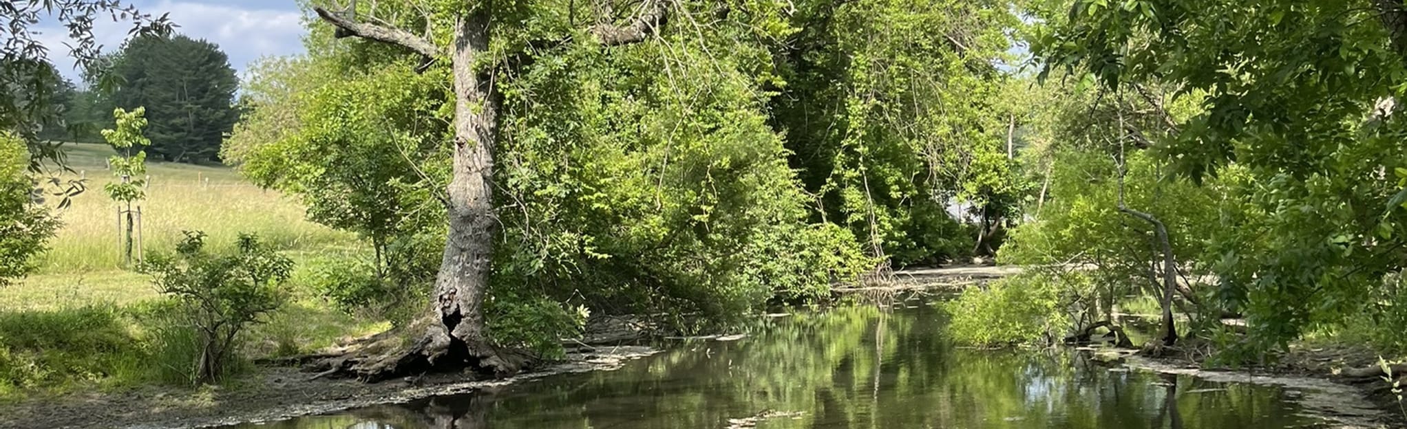 Hildacy Preserve Loop 376 Reviews, Map Pennsylvania AllTrails