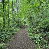 North Fork Moormans River, Virginia - 593 Reviews, Map | AllTrails