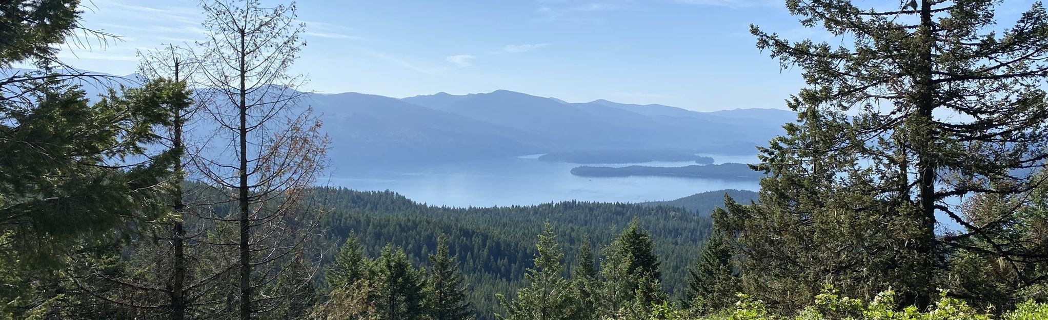 Lakeview Mountain via Kalispell Bay, Idaho - 20 Reviews, Map | AllTrails