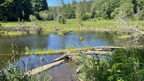 10 Best Trails and Hikes in Monroe | AllTrails