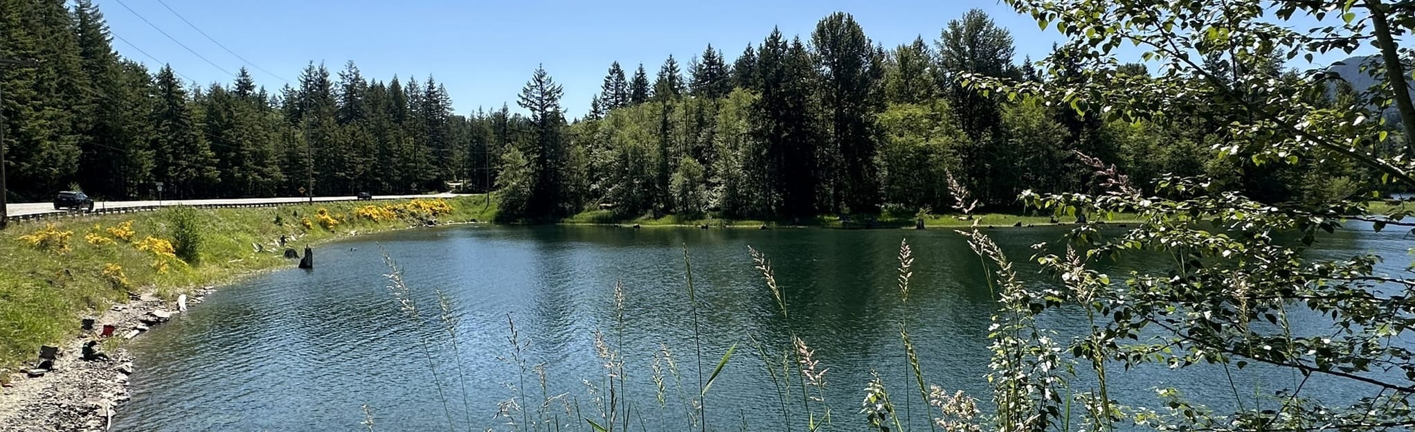 Mountain Highway Scenic Byway 5 Reviews, Map Washington AllTrails