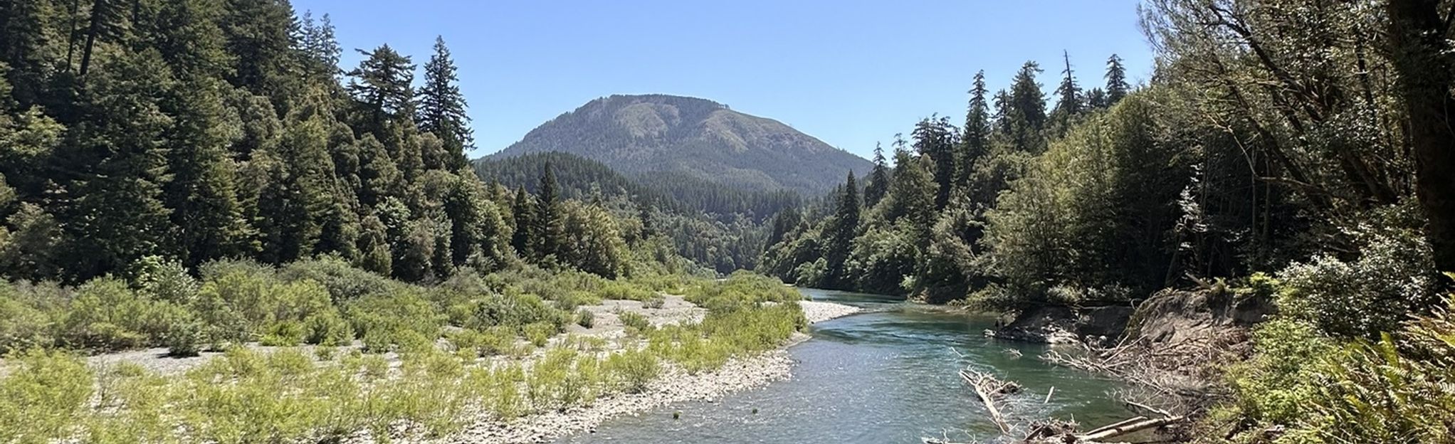 Oregon's Hidden Gem: Loeb State Park – Your Unforgettable Coastal Escape