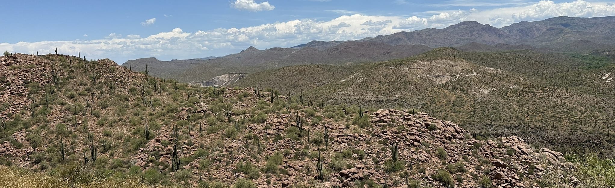 Seven Springs OHV Road Cave Creek to Sheep Bridge 249 Reviews, Map