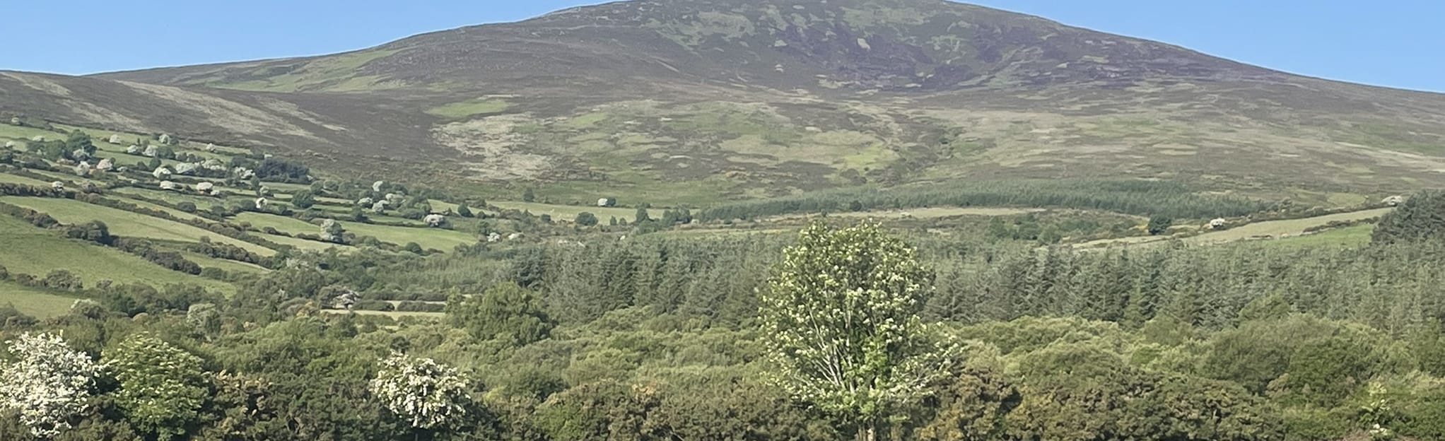 Kiltealy Cullentra Trail, County Wexford, Ireland 18 Reviews, Map