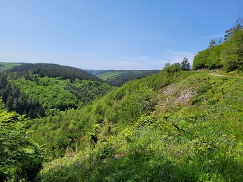 Auf den Spuren der Schlacht im Hürtgenwald