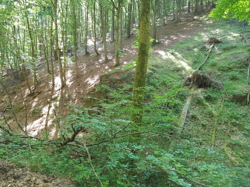 Bergheidenweg (Traumpfad)