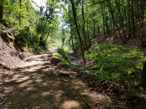 Bergheidenweg (Traumpfad)
