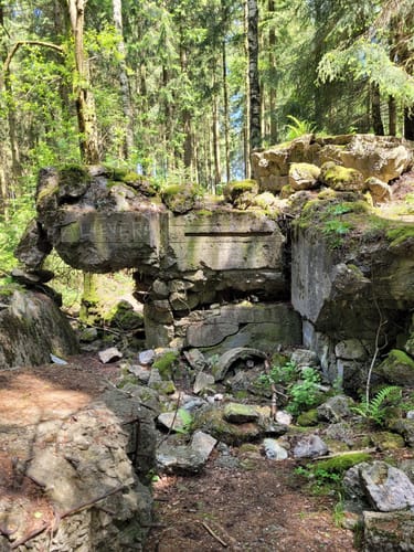 Auf den Spuren der Schlacht im Hürtgenwald