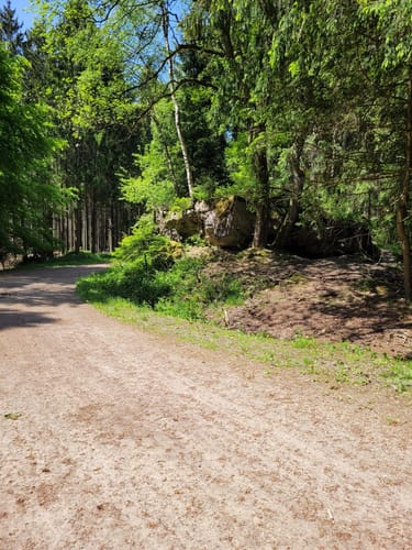 Auf den Spuren der Schlacht im Hürtgenwald