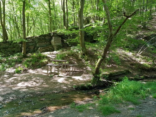 Bergheidenweg (Traumpfad)